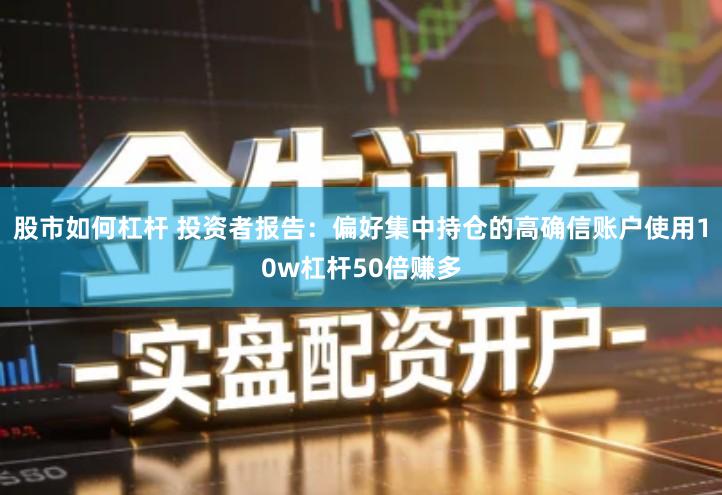 股市如何杠杆 投资者报告：偏好集中持仓的高确信账户使用10w杠杆50倍赚多