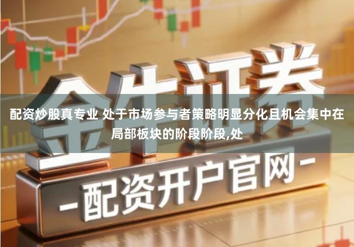 配资炒股真专业 处于市场参与者策略明显分化且机会集中在局部板块的阶段阶段,处