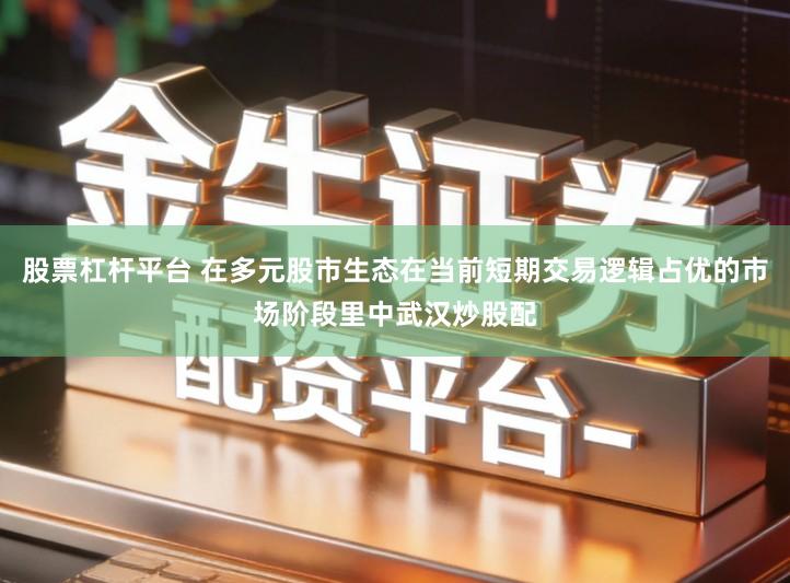 股票杠杆平台 在多元股市生态在当前短期交易逻辑占优的市场阶段里中武汉炒股配