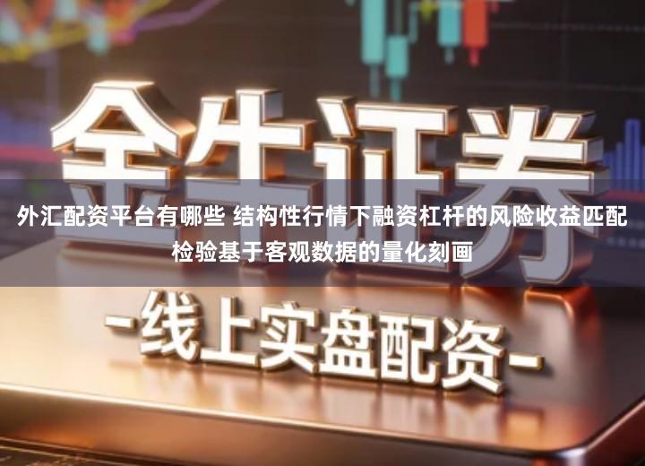外汇配资平台有哪些 结构性行情下融资杠杆的风险收益匹配检验基于客观数据的量化刻画